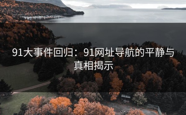 91大事件回归：91网址导航的平静与真相揭示